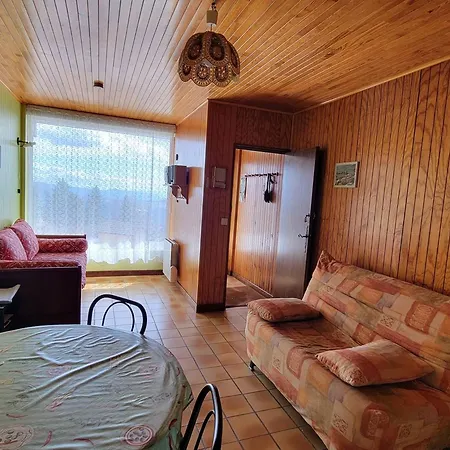 Cosy 4 Pers. A - Terrasse Sud, Animaux Admis - Fr-1-393-57 Apartment